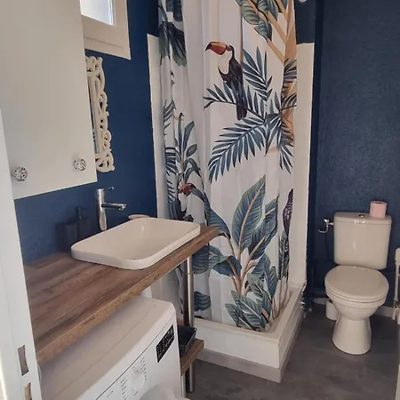Le Corail Grand Vue Avec Loggia - Et Port A 5 Min A Pied - Parking Privatif - Draps Et Menage Inclus *